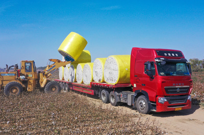 非凡十年 | 新疆生產建設兵團︰努力形成新時代兵團維穩戍邊新優勢