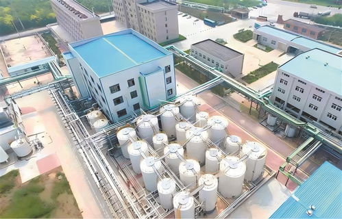 高青 以工業(yè)技改驅(qū)動(dòng)引擎，加速企業(yè)轉(zhuǎn)型升級(jí)與高質(zhì)量發(fā)展